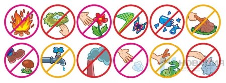 Знаки природы