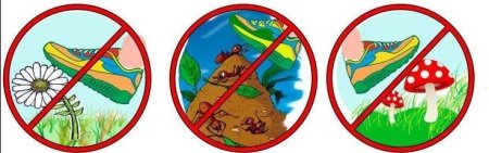 Знаки на тему берегите природу