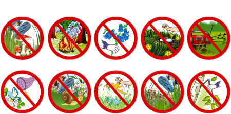 Знаки природы