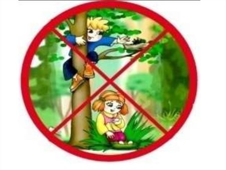 Знаки поведения в природе