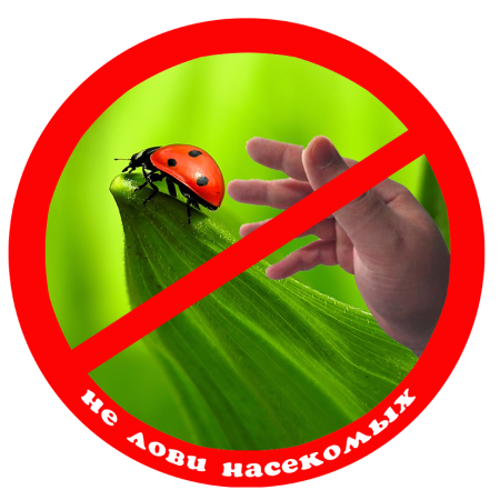 Экологические знаки для детей