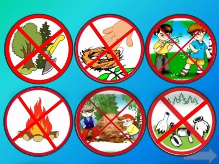 Знаки охраны природы