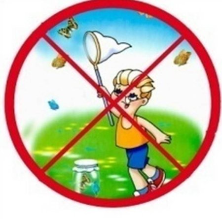 Запрещающие знаки поведения в лесу