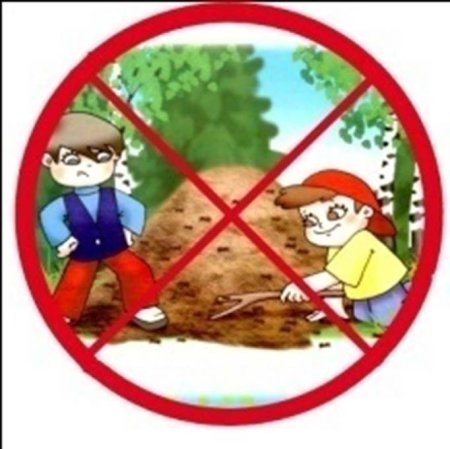 Знак не разоряй муравейники