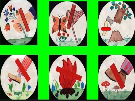 Знаки охраны природы