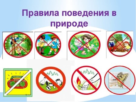 Правила поведения на природе