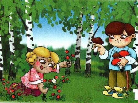 Поведение в лесу для дошкольников