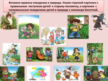 Правила поведения на природе