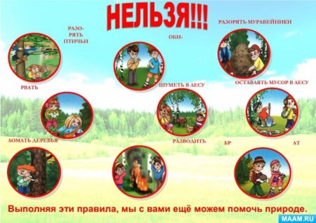 Правило поведение в лесу для детей