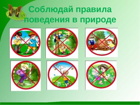 Правила поведения на природе
