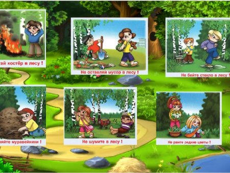 Безопасность в природе для детей в детском саду