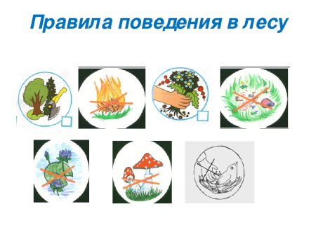 Правила поведения влему