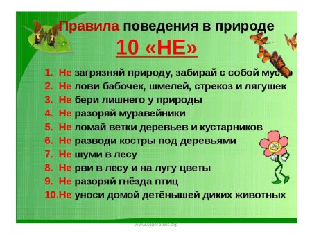 Правила поведения на природе