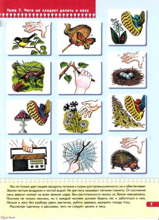 Правиль поведение в природе