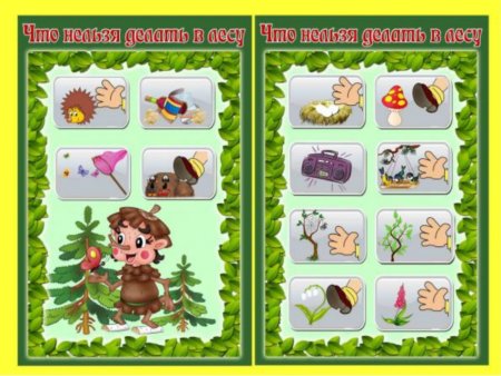 Поведение в природе для дошкольников