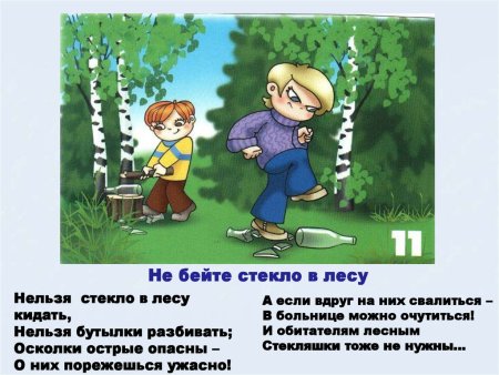 Правила поведения в лесу