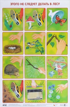 Экология для дошкольников