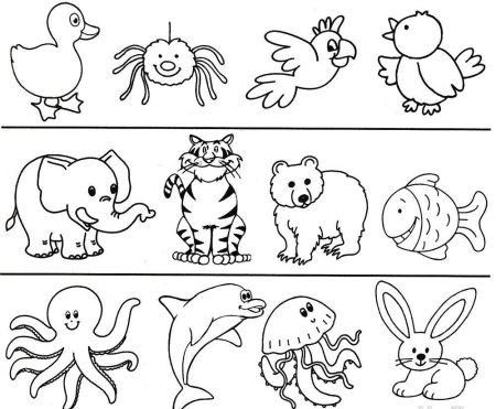 Развивающие рисунки для детей