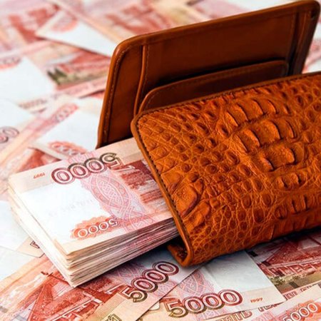 Кошелек с деньгами