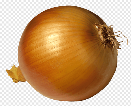 Лук жёлтый