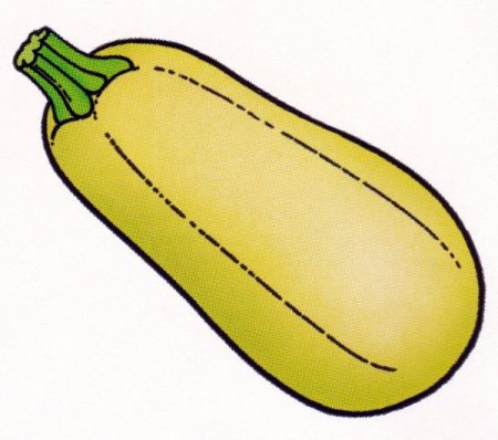 Кабачок мультяшный