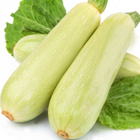 Кабачок Сангрум f1