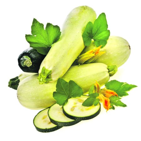 Кабачок на белом фоне