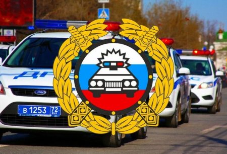 Госавтоинспекция МВД России (ГИБДД)