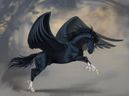 Аликорн мифология