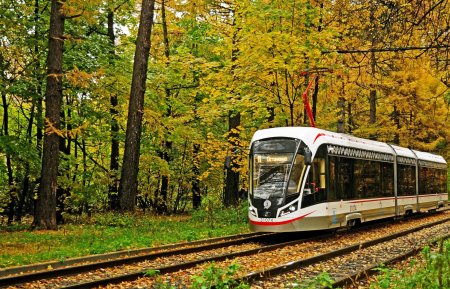 Трамвай осень