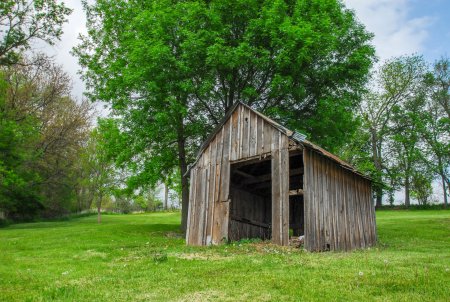 Сарай Кастомз