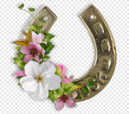 Красивая подкова