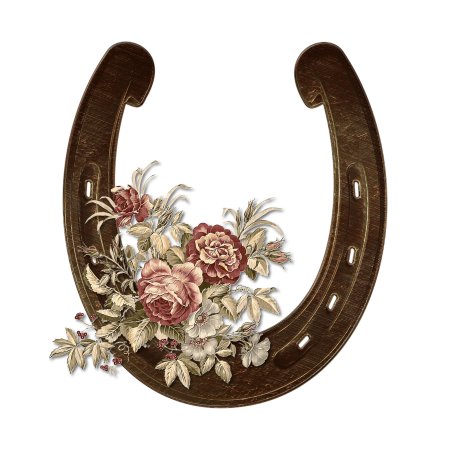 Красивое изображение подковы