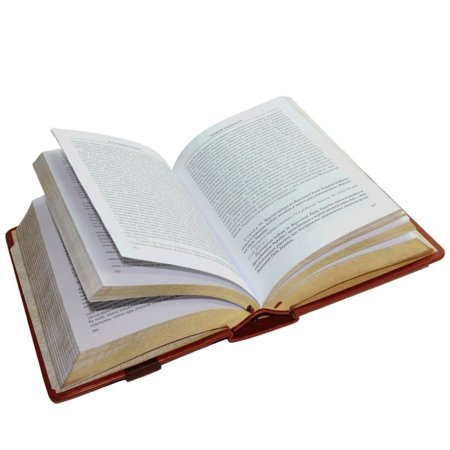 Раскрытая книга