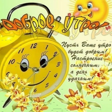 Шуточные пожелания с добрым утром