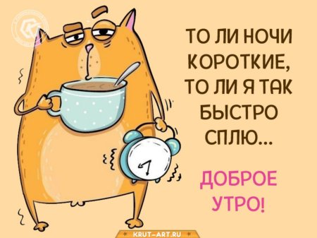 Доброе утро смешные