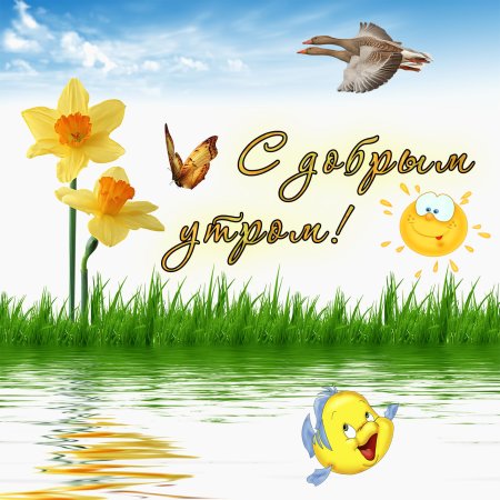 Открыта с добрым утром