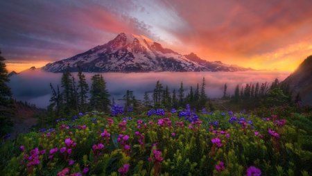 Марк Адамус фотограф