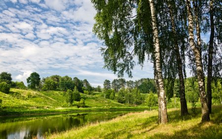 Природа деревня речка Березки