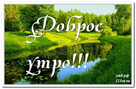 Доброе утро лес с надписью