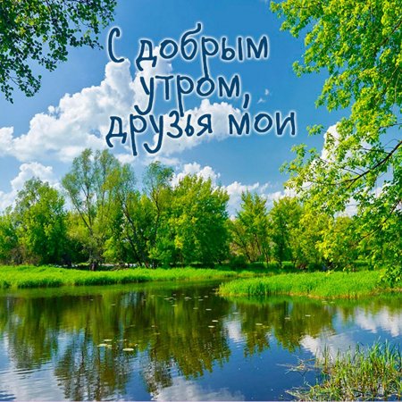 Открытки с добрым утром c природой