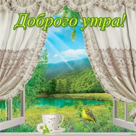 Доброе летнее утро