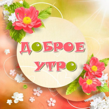 Бодрое утро