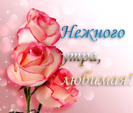 С добрым утромл любимая