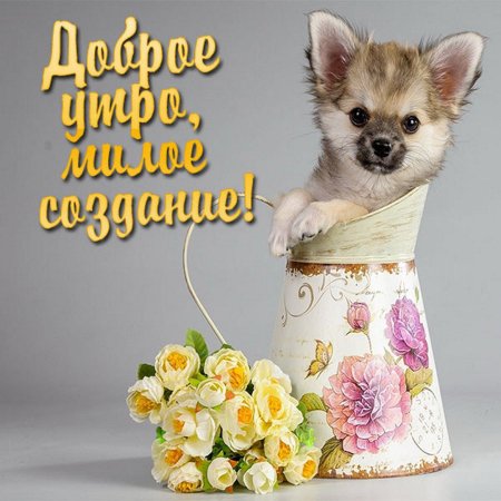 С добрым утром любимая жена