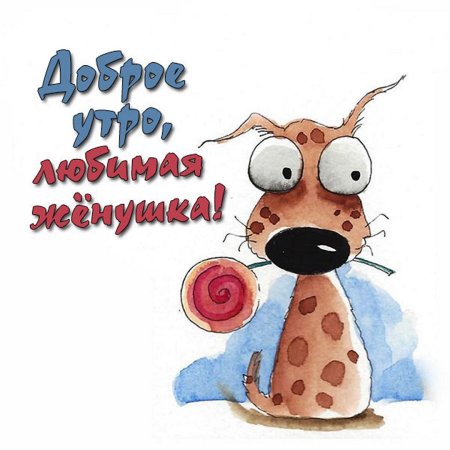 Доброе утро любимая жена