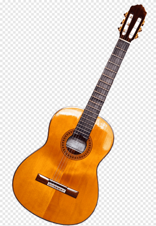 Двенадцатиструнная гитара музыкальный инструмент