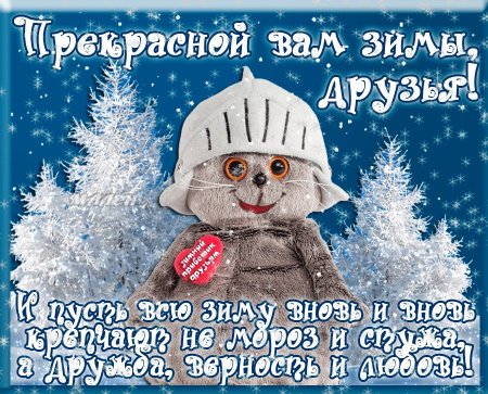 Зимние пожелания прикольные