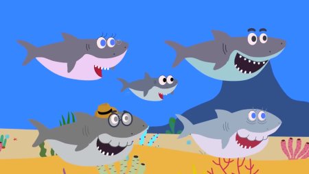 Акулёнок туруру