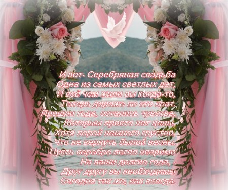 С серебряннойсвадьбой поздравление